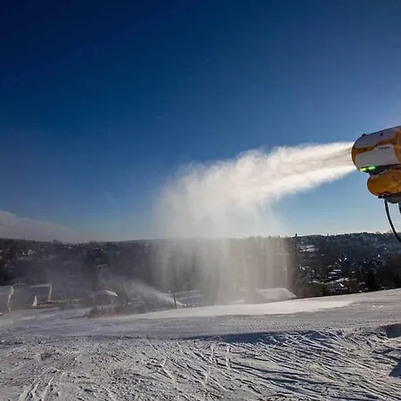 Hotel Jagdhaus Waldidyll Erzgebirge Hartenstein (Saxony)