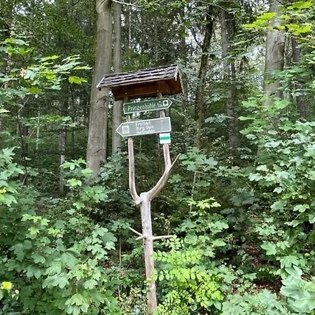 Hotell Jagdhaus Waldidyll Erzgebirge