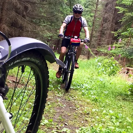 Hotell Jagdhaus Waldidyll Erzgebirge 4*