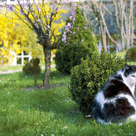 Hotel Jagdhaus Waldidyll Erzgebirge 4*