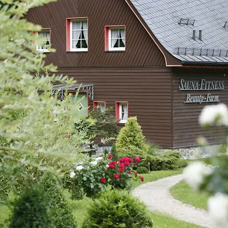 Hotel Jagdhaus Waldidyll Erzgebirge 4*