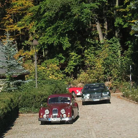 Hotel Jagdhaus Waldidyll Erzgebirge Hartenstein (Saxony)