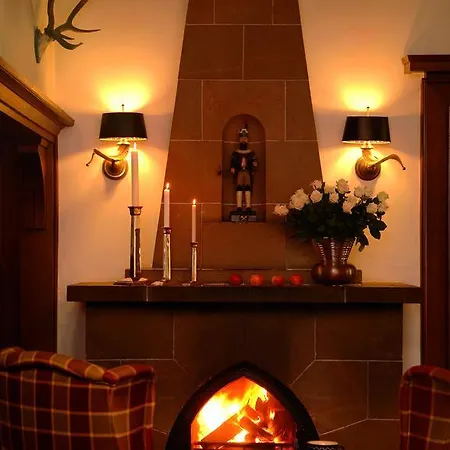 Hotel Jagdhaus Waldidyll Erzgebirge Hartenstein (Saxony)