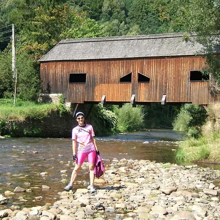 Jagdhaus Waldidyll Erzgebirge 4* Hartenstein (Saxony)