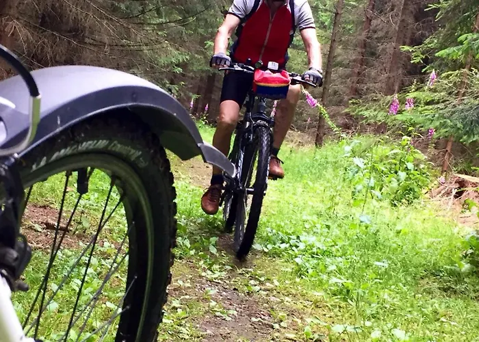 Hotel Romantik Jagdhaus Waldidyll 4*