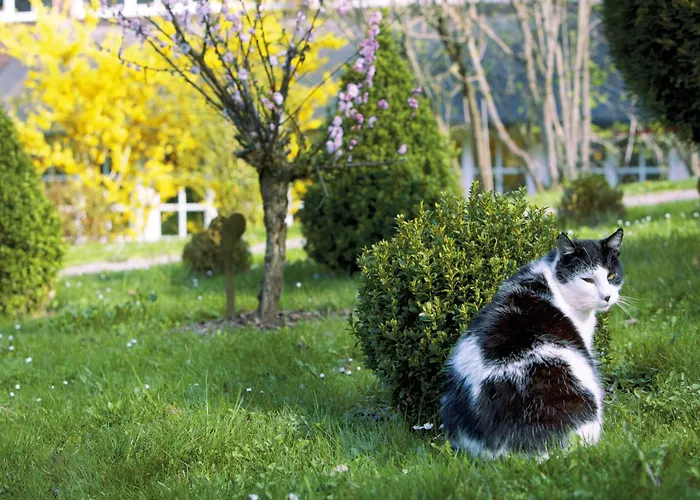 Hotel Romantik Jagdhaus Waldidyll 4*