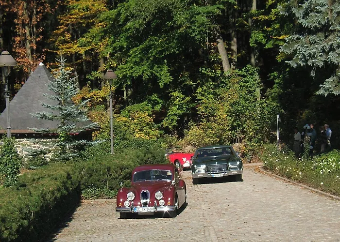 Hotel Romantik Jagdhaus Waldidyll Hartenstein (Saxony)