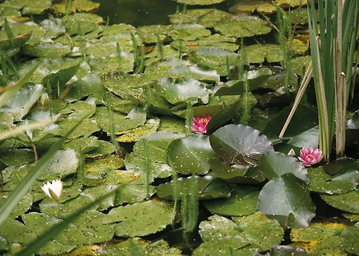 Romantik Jagdhaus Waldidyll 4* Hartenstein (Saxony)